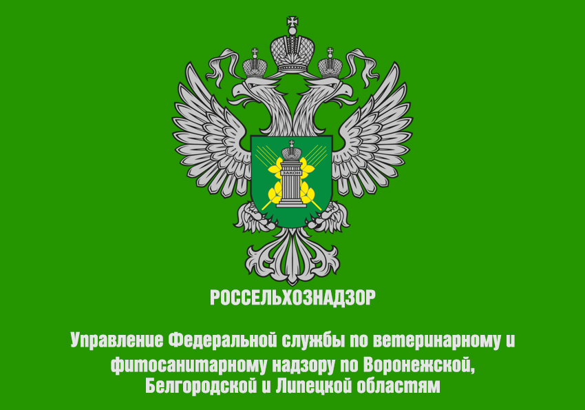 Управление Федеральной службы по ветеринарному и фитосанитарному надзору по Воронежской, Белгородской и Липецкой областям информирует.