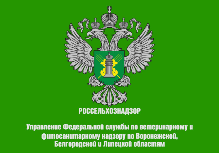 Управление Россельхознадзора по Воронежской, Белгородской и Липецкой областям сообщает. Управление Россельхознадзора по Воронежской, Белгородской и Липецкой областям сообщает.