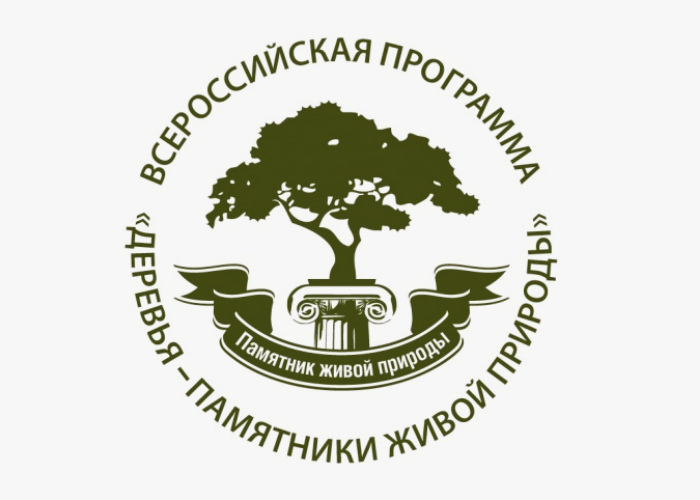 Стартовал Всероссийский конкурс «Российское дерево года - 2024». Стартовал Всероссийский конкурс «Российское дерево года - 2024».